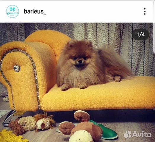 Мебель для животных Лежаки будки лестницы Мебель для животных Лежаки будки лестницы