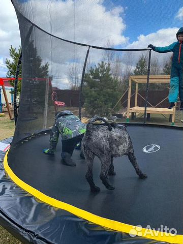 Батут Батут