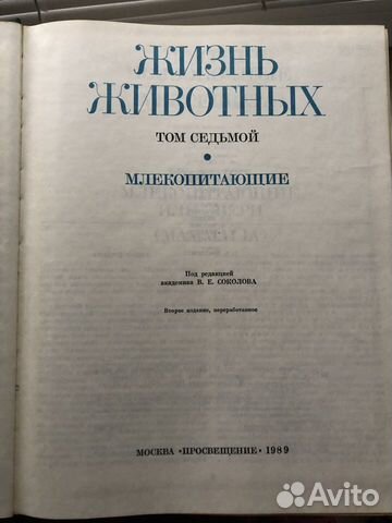 Энциклопедия 