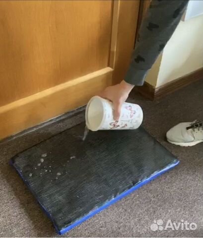 Коврик антисептик (коврик дезинфекция) Коврик антисептик (коврик дезинфекция)