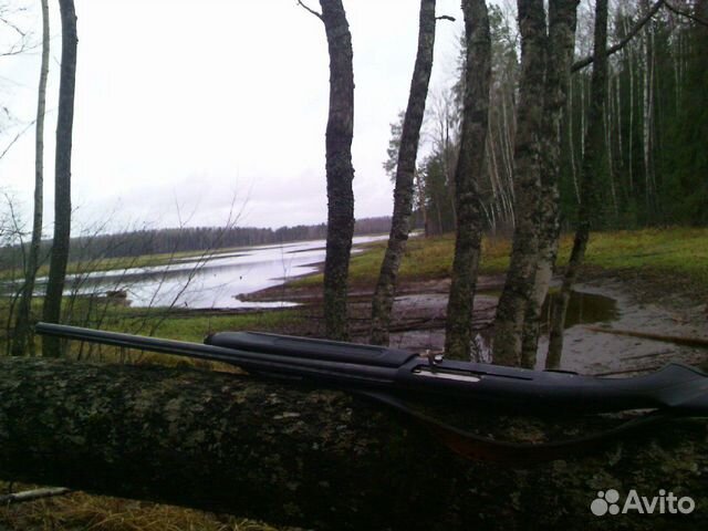 Охота в Новгородской обл