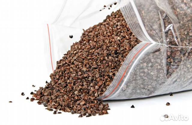 Гречишная лузга (шелуха гречихи)