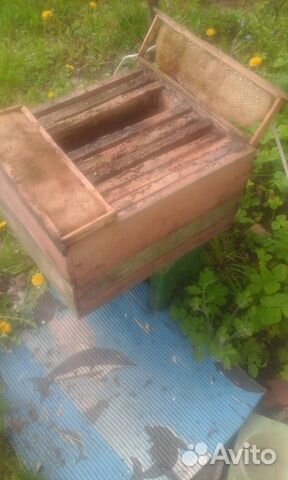 Ульи для пчел