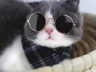 Солнцезащитные очки для для кошек, для собак