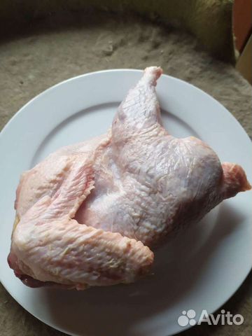 Куры суповые для животных