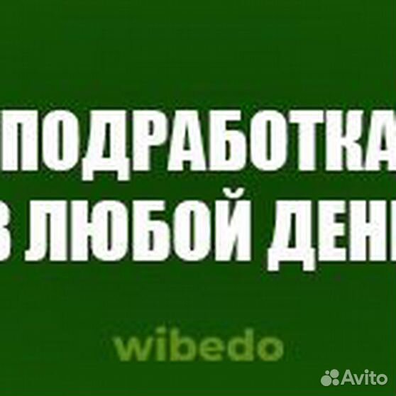 Wibedo работа отзывы