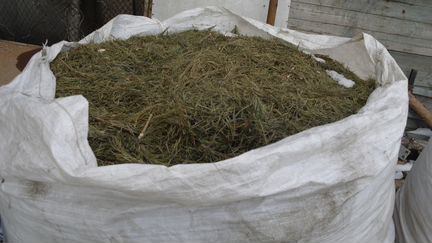 Хвойный опад для голубики.клубники