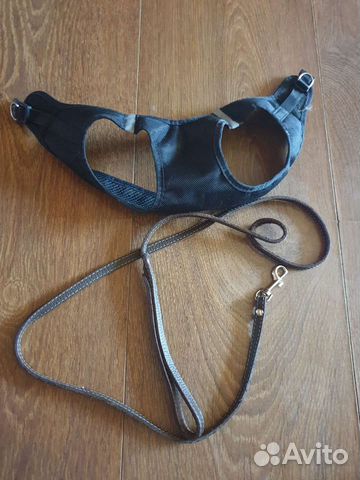 Поводок и шлейка для собаки