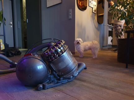 Dyson animal complete DC52