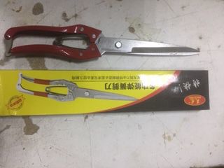 Овца. Ножницы для стрижки овец