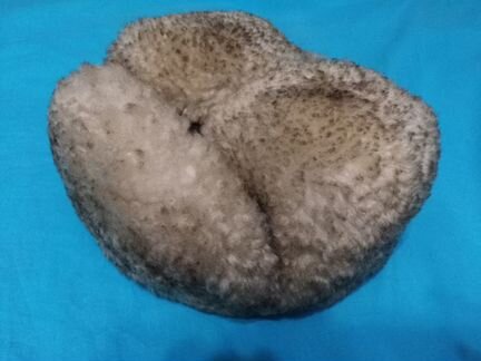 Шапка ушанка