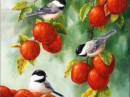 Картина по номерам Птицы и яблоки