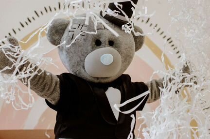 Аниматор. Мишка Тэдди