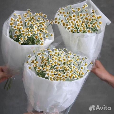 Букет полевых ромашек