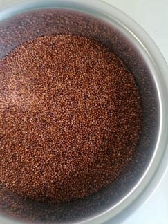 Семена Киноа Отборные 25 кг