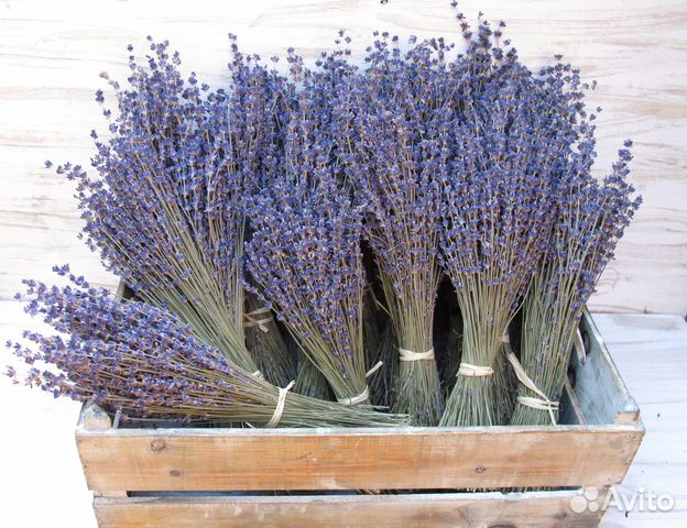 Лаванда в букетиках