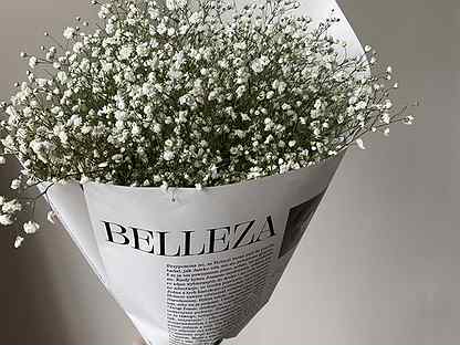 Гипсофила чебоксары цены заказ цветов с доставкой оренбург онлайн