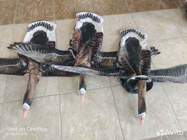 Махокрыл Flywing гусь белолобый