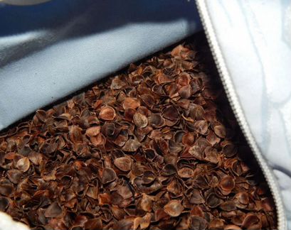 Гречневая лузга, шелуха, подушки, мульча