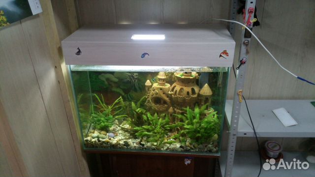 Аквариум 100 литров с тумбой