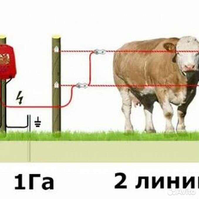 Схема монтажа электропастуха