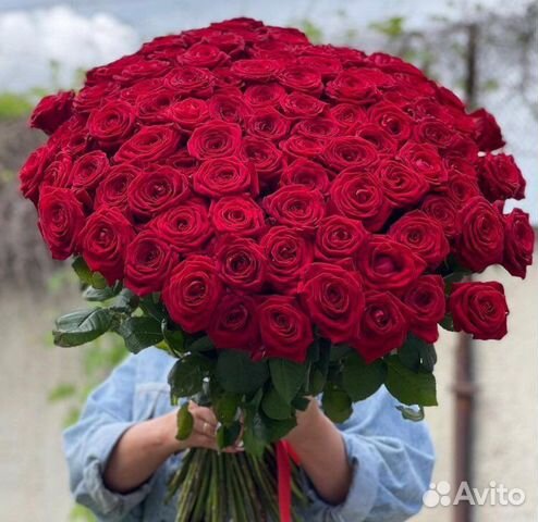 Букет цветов 101 роза, 301 роза, 501 роза, 1001