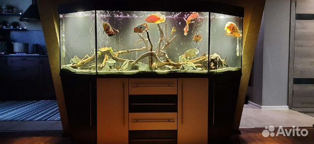 Аквариум