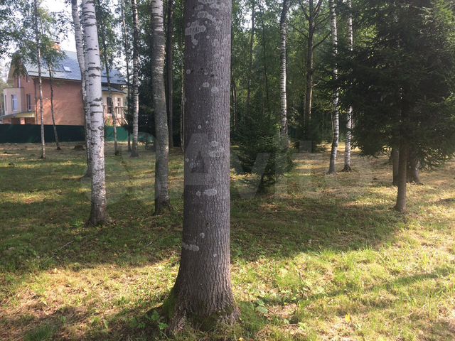 Участок 45 сот. (ИЖС)