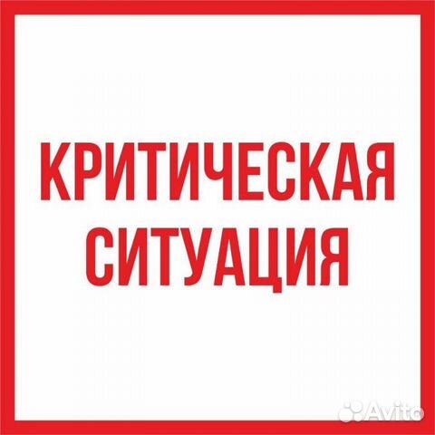 Спаси жизнь кошки или кота, ставшего сиротой