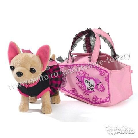 Чичилав Собачка