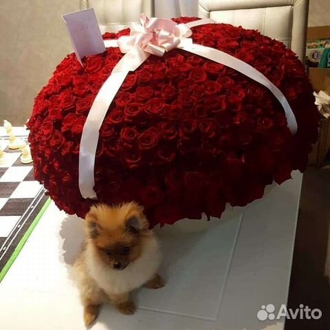 Цветы Динская доставка круглосуточно