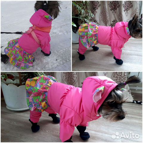 Одежда для собак