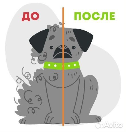 Груминг / экспресс-линька / стрижка когтей