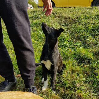 Девочка, 5 месяцев, доставка