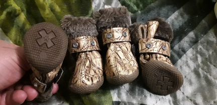 Обувь для мини йорка