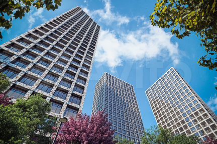 3-к апартаменты, 76.8 м², 14/24 эт.