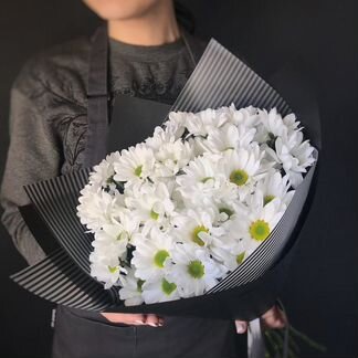 Кустовые хризантемы