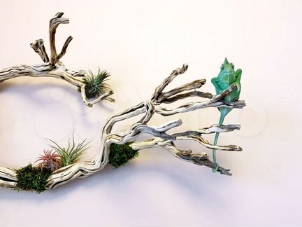 Коряги для аквариумов и террариумов