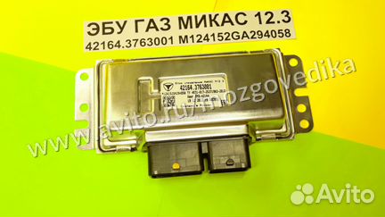 Эбу Мозги на газ, Газель Микас 12.3 42164.3763001