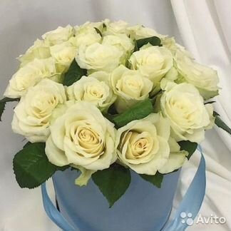 101 Роза, Букеты Цветы Розы 31 51 75 301 Доставка
