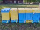 Пасеку с пчелами 30 пчелосемей с инвентарем объявление продам