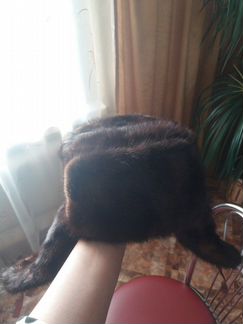 Мужская шапка норка натуральная