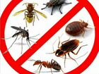 Уничтожение любых видов насекомых, тараканы, клопы объявление продам
