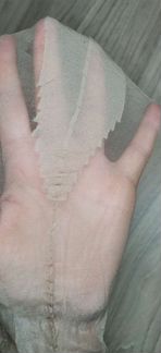 Чулки винтажные новые Италия