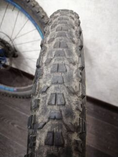 Maxxis ardent 27.5х2.40