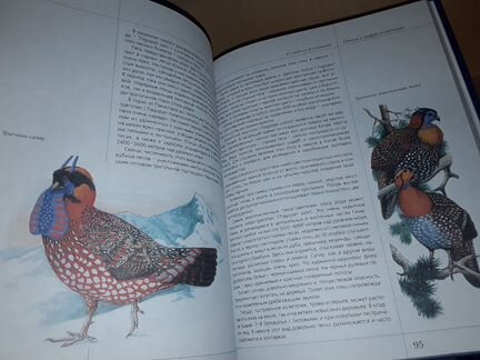 Бабенко В. Птицы в мифах и легендах