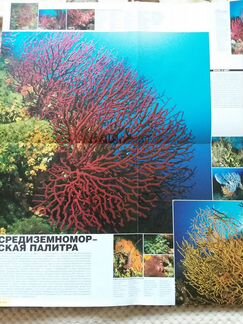 Большой атлас морей и океанов А. Можетти