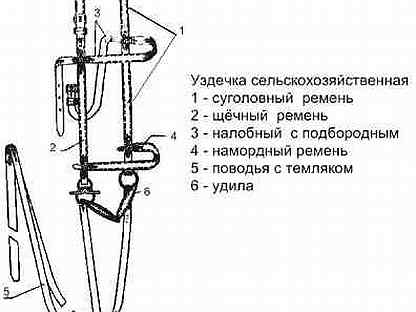 Уздечка для лошади из чего состоит схема