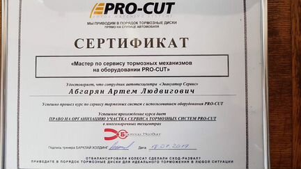 Проточка тормозных дисков без снятия. Замена колод
