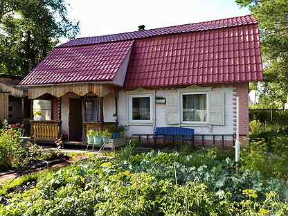 дача снт березка. снт жилево ступинский район. дачи снт берёзка новодвинск. садоводство березка. снт березка глазов.